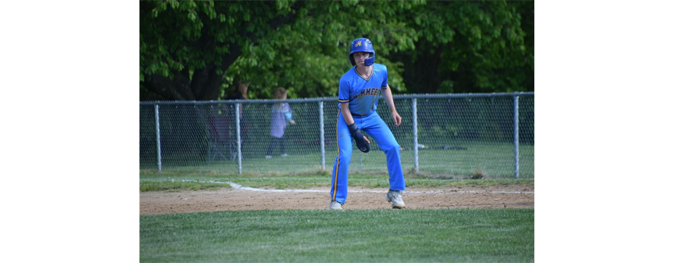 Hamilton Baseball